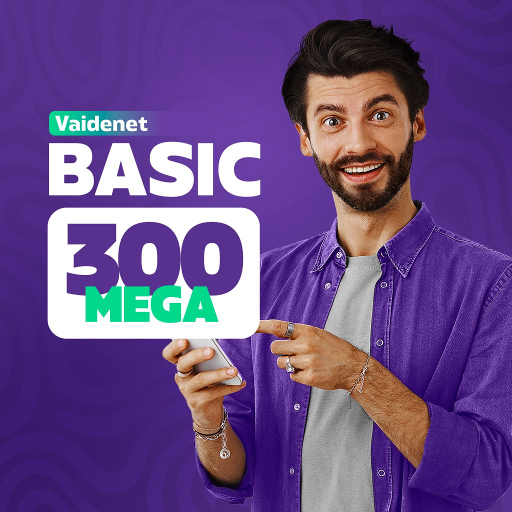 vaidenet-basic